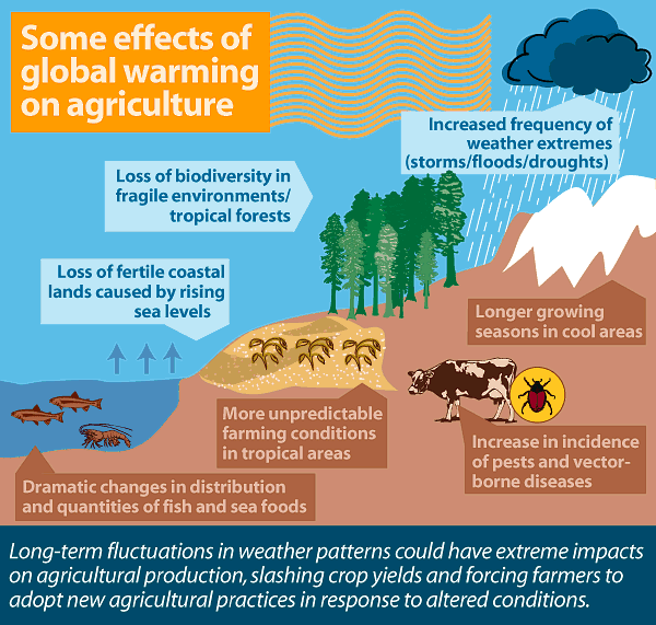 Agriculture change
